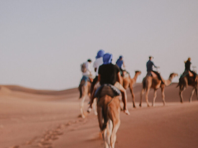 Camel trek experience in morocco desert